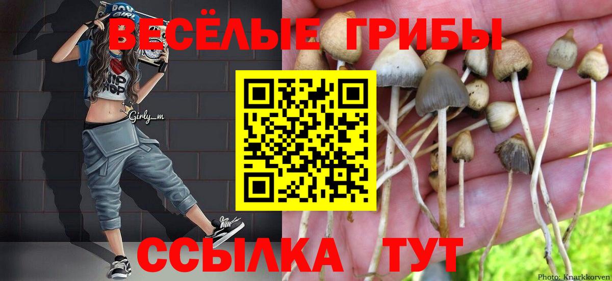 купить закладку  Псилоцибиновые грибы Psilocybine cubensis  Вход с VPN  Чапаевск 